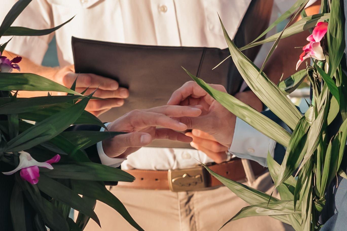 carousel-hero-element image-3