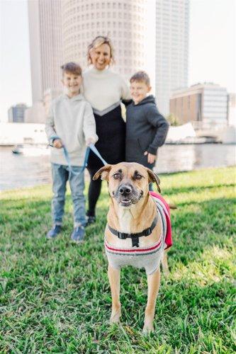 mobile - carousel-hero-element image-9