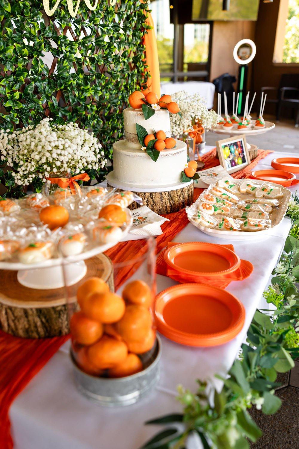 carousel-hero-element image-11